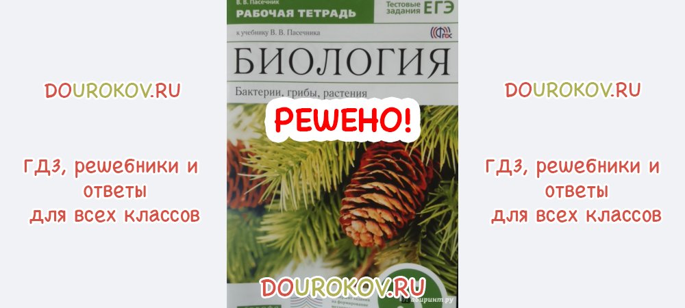 Пасечник биология рабочая. Гдз по биологии 5 класс рабочая тетрадь Пасечник с шишкой.