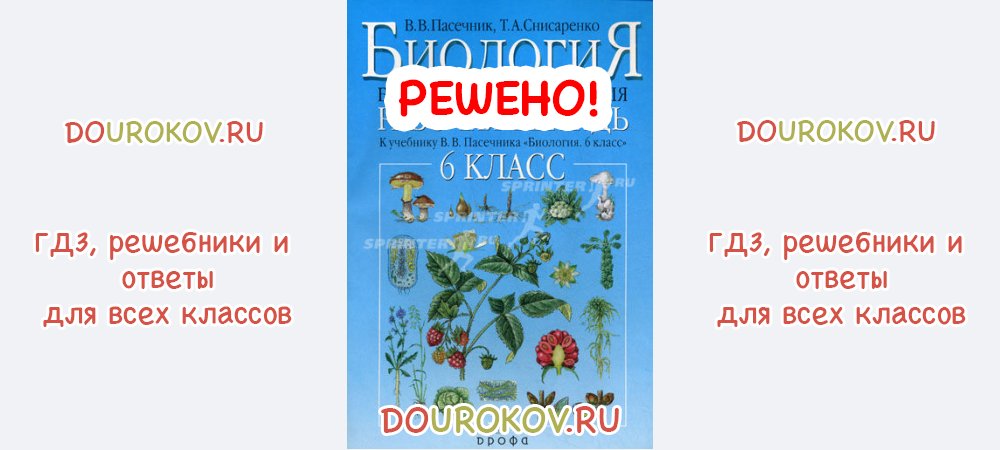 Культурные растения 6 класс биология пасечник презентация