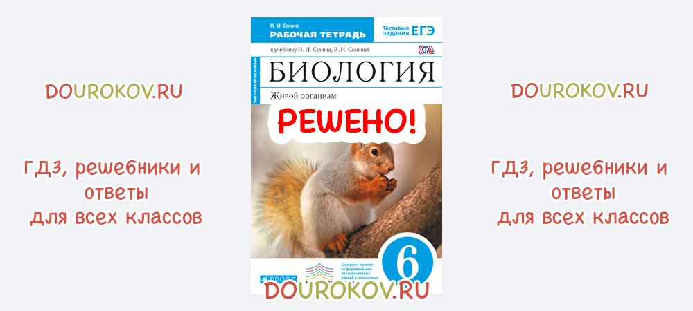 Биология 6 класс тетрадь сонина. Биология 6 класс с белочкой. Биология Сонин с белкой. Рабочая тетрадь по биологии 6 класс Сонин с белкой.