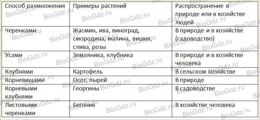 Формула цветка подсолнечника - Вопросы и ответы