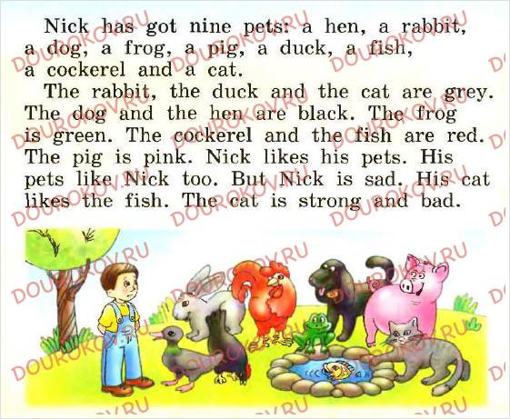 Alice has a big black dog перевод. Nick has got a Dog. Английский 2 класс страница 101. Rabbit текст на английском 2 класс. Nick has got Nine Pets.