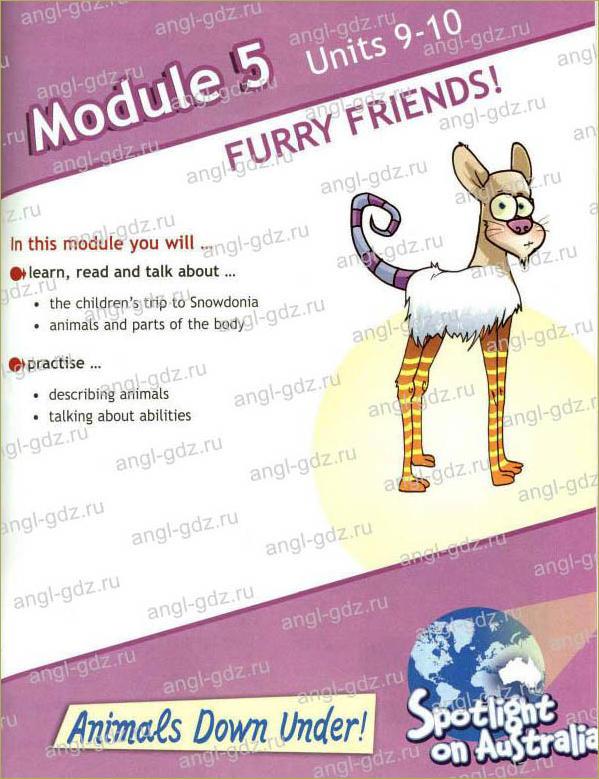 Module 5. Furry friends! - 1