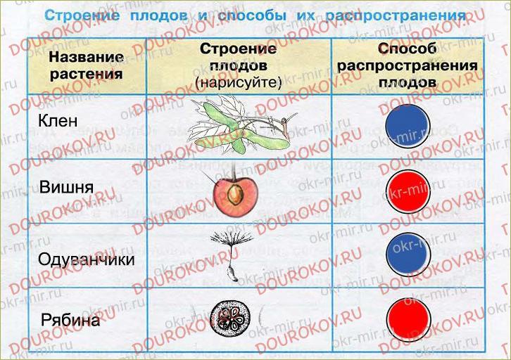 Используя рисунок задания 1 подумайте и запишите в каком из районов опасность размножения яблоневой