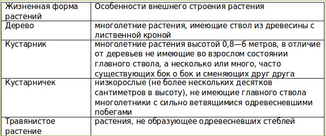 2-ТП Водхоз: заказать заполнение формы, согласование в Салехард