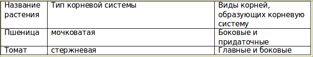 Строение корневой системы таблица. Заполните таблицу строение корневых систем у разных растений. Особенности строения корневой системы. Строение корневых систем у разных растений таблица. Название растения Тип корневой системы.