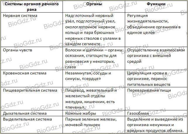 Таблица класс ракообразные 7 класс. Таблица по биологии 7 класс строение ракообразных. Таблица внутреннее строение ракообразных биология 7 класс. Системы органов членистоногих таблица. Таблица по биологии 8 класс ракообразные.